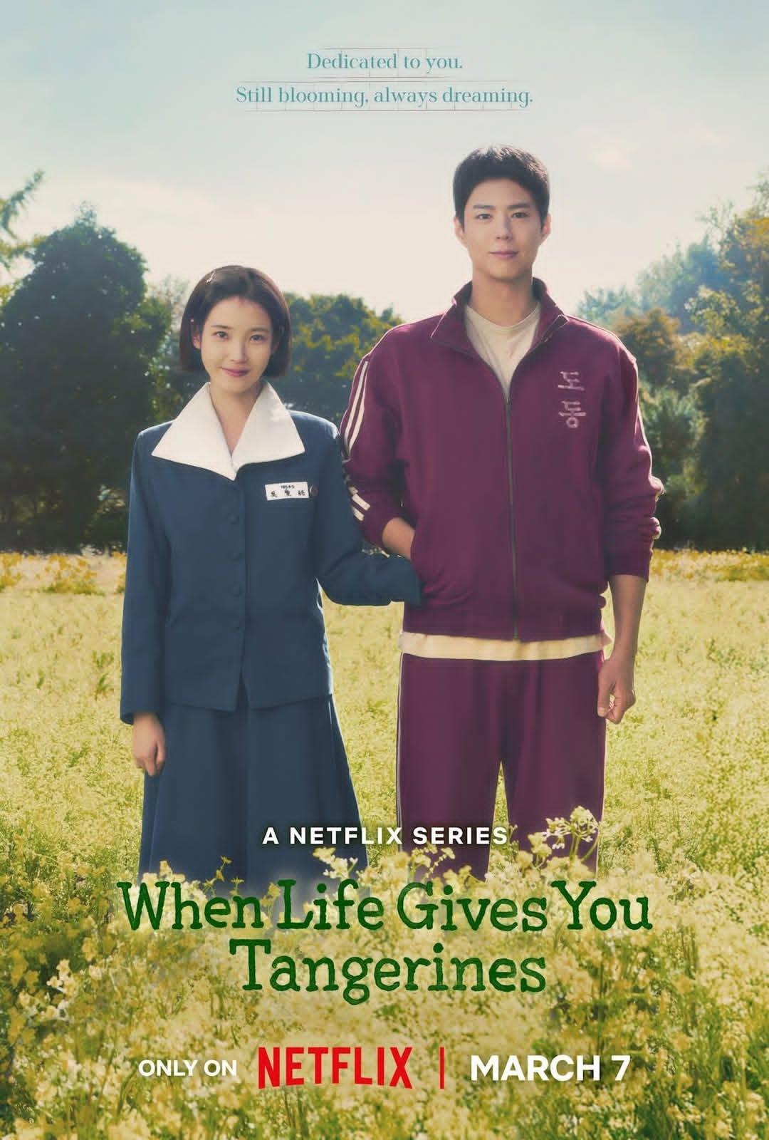 Khi Cuộc Đời Cho Bạn Quả Quýt When Life Gives You Tangerines