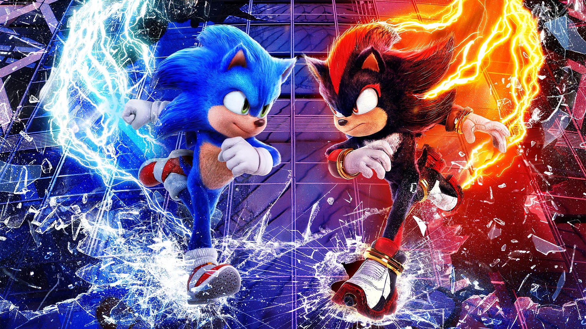 Nhím Sonic 3 - Sonic The Hedgehog 3