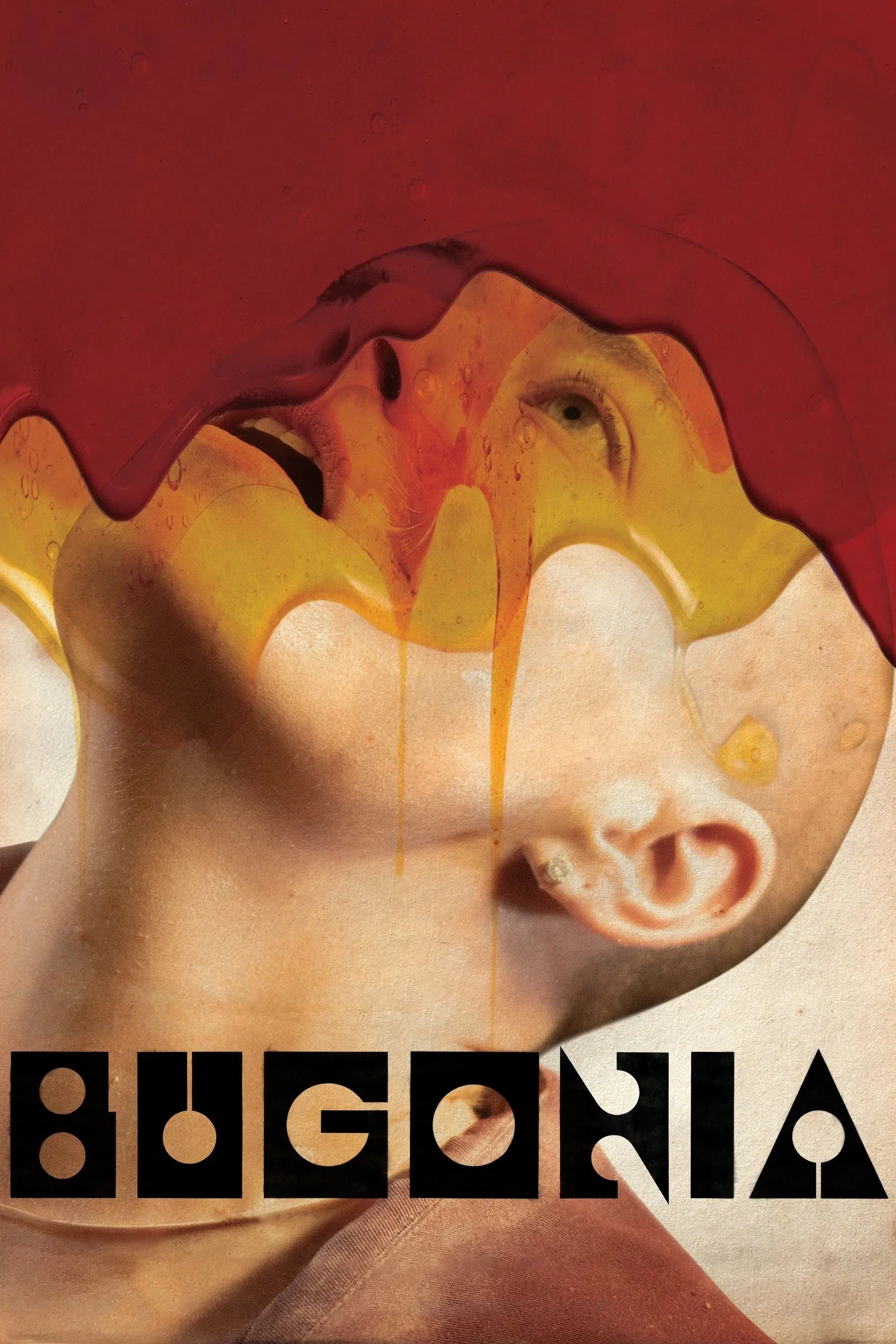 Bĩ Cực Thái Lai Bugonia