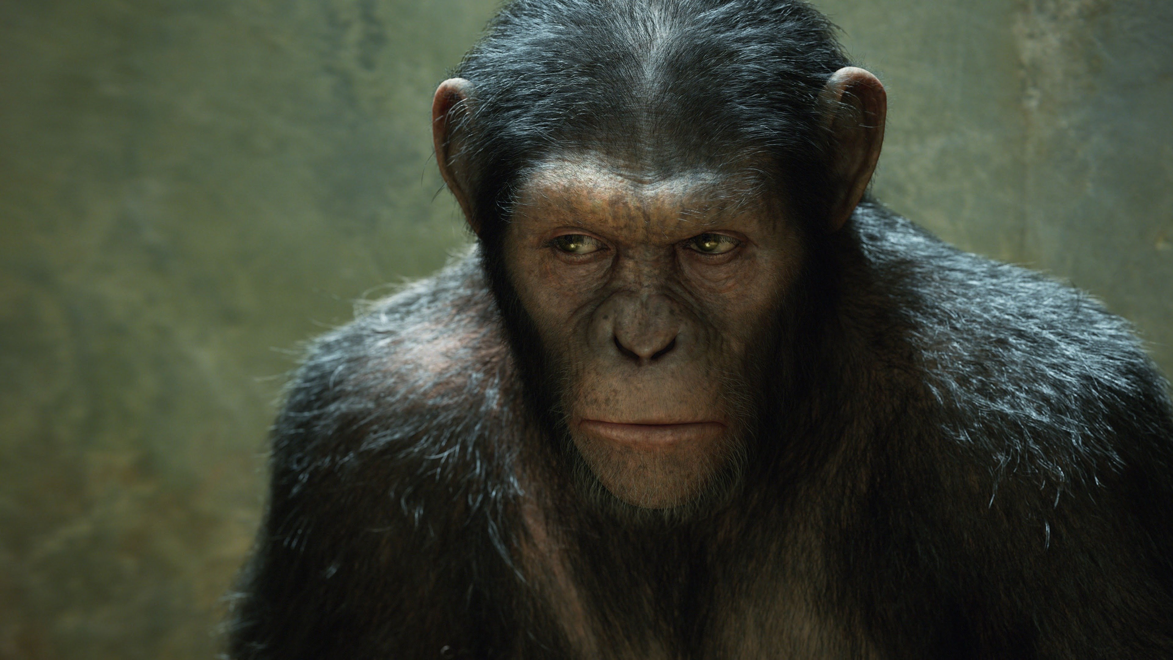 Sự Nổi Dậy Của Hành Tinh Khỉ - Rise of the Planet of the Apes