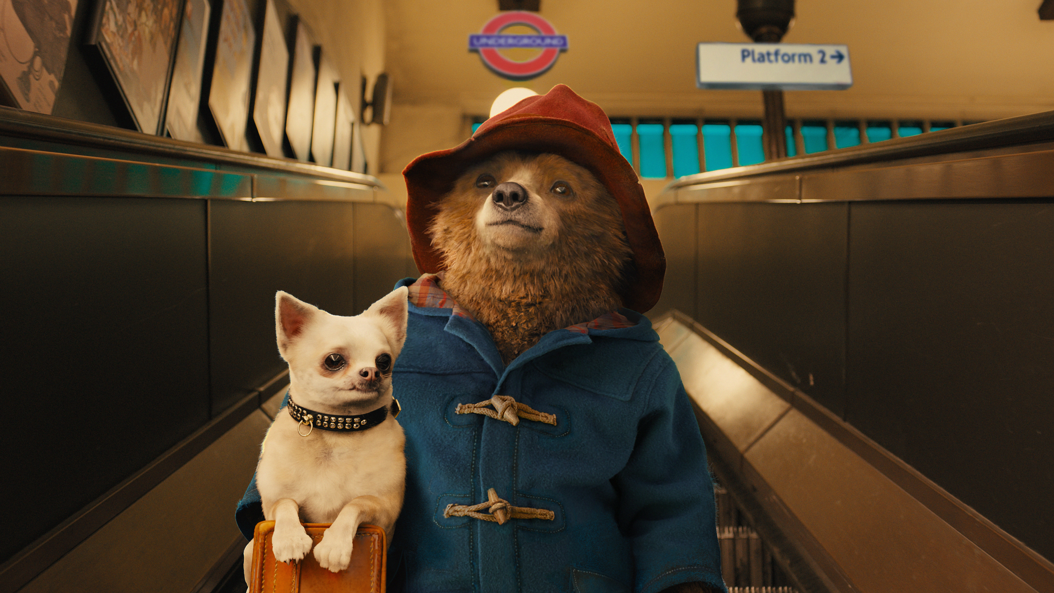 Paddington - Paddington 1