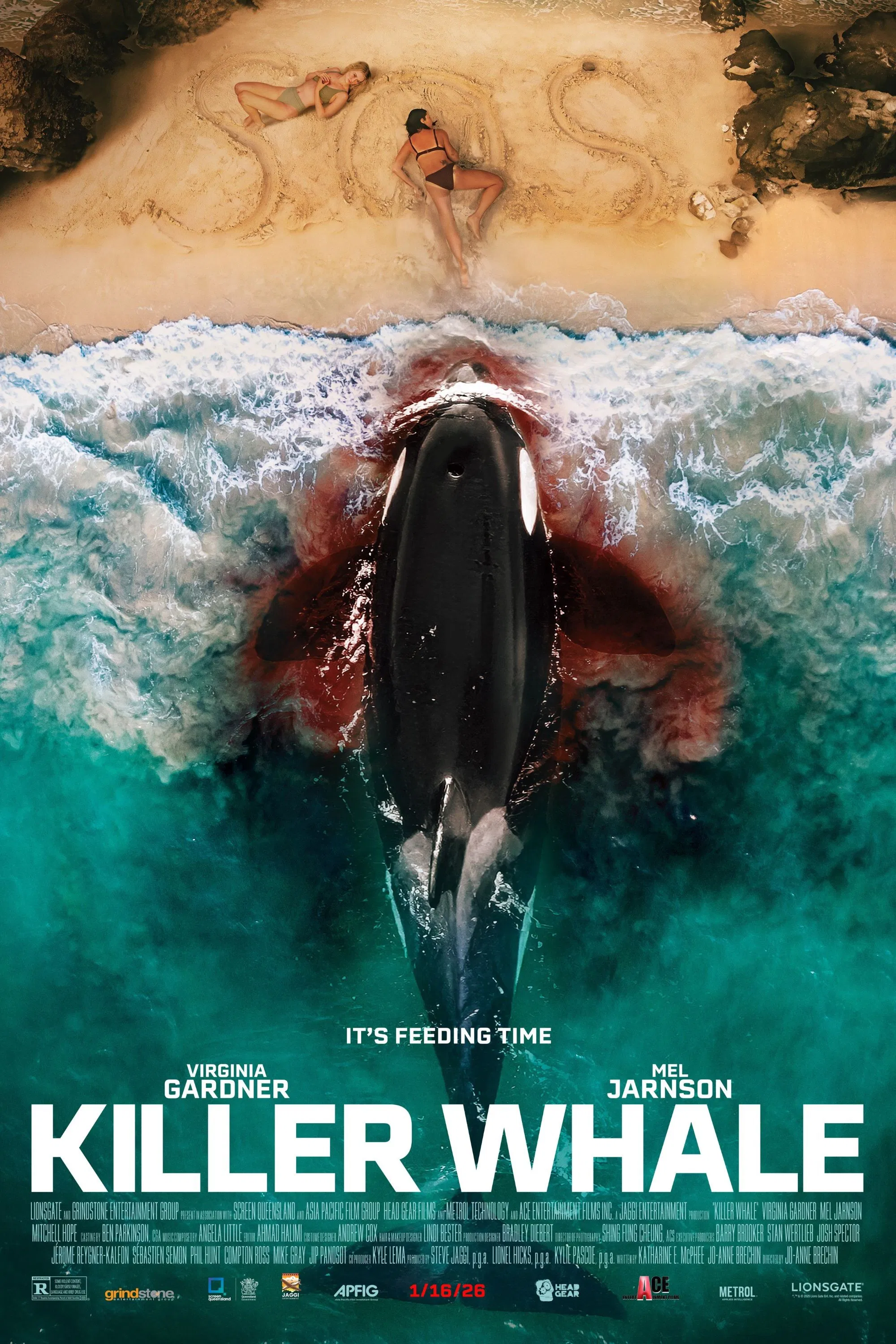Cá Voi Sát Thủ Killer Whale