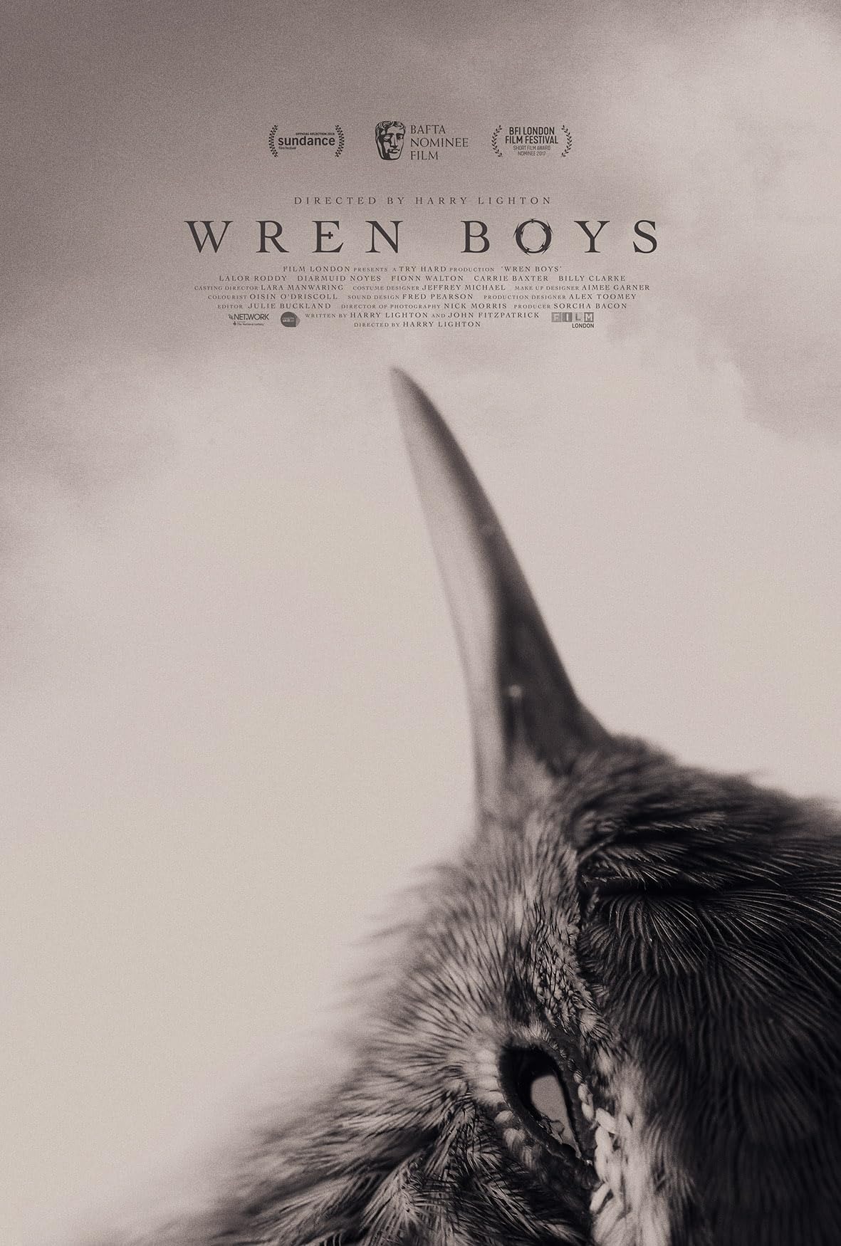 Những Chàng Trai Wren Wren Boys 