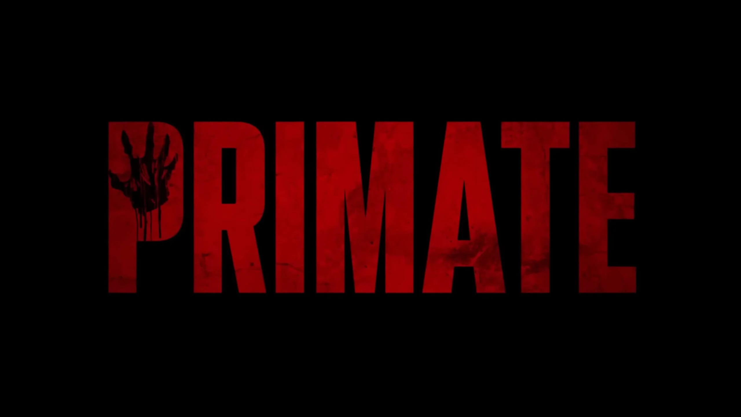 Linh Trưởng - Primate