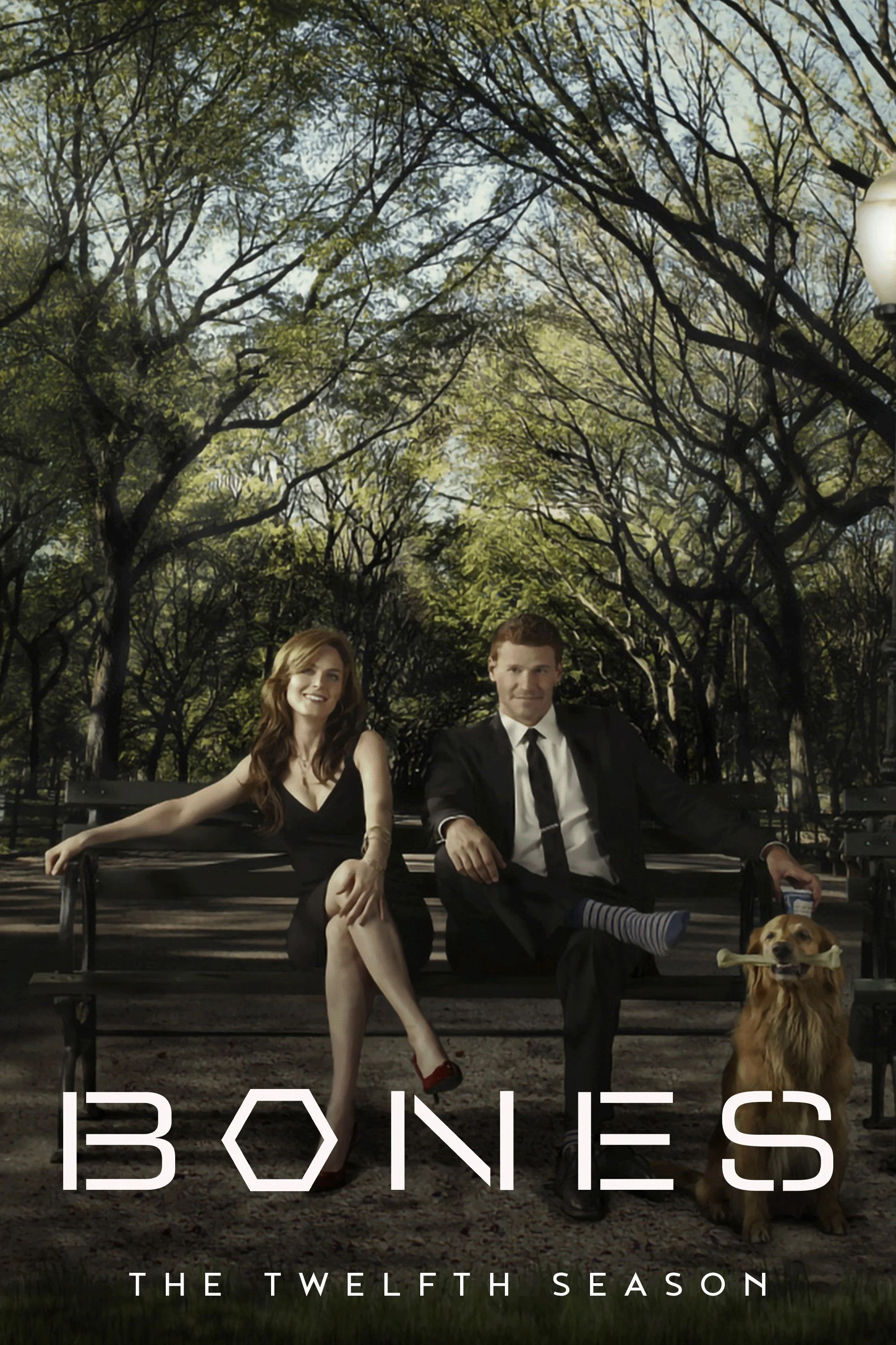 Hài Cốt ( Phần 12 ) Bones (Season 12)