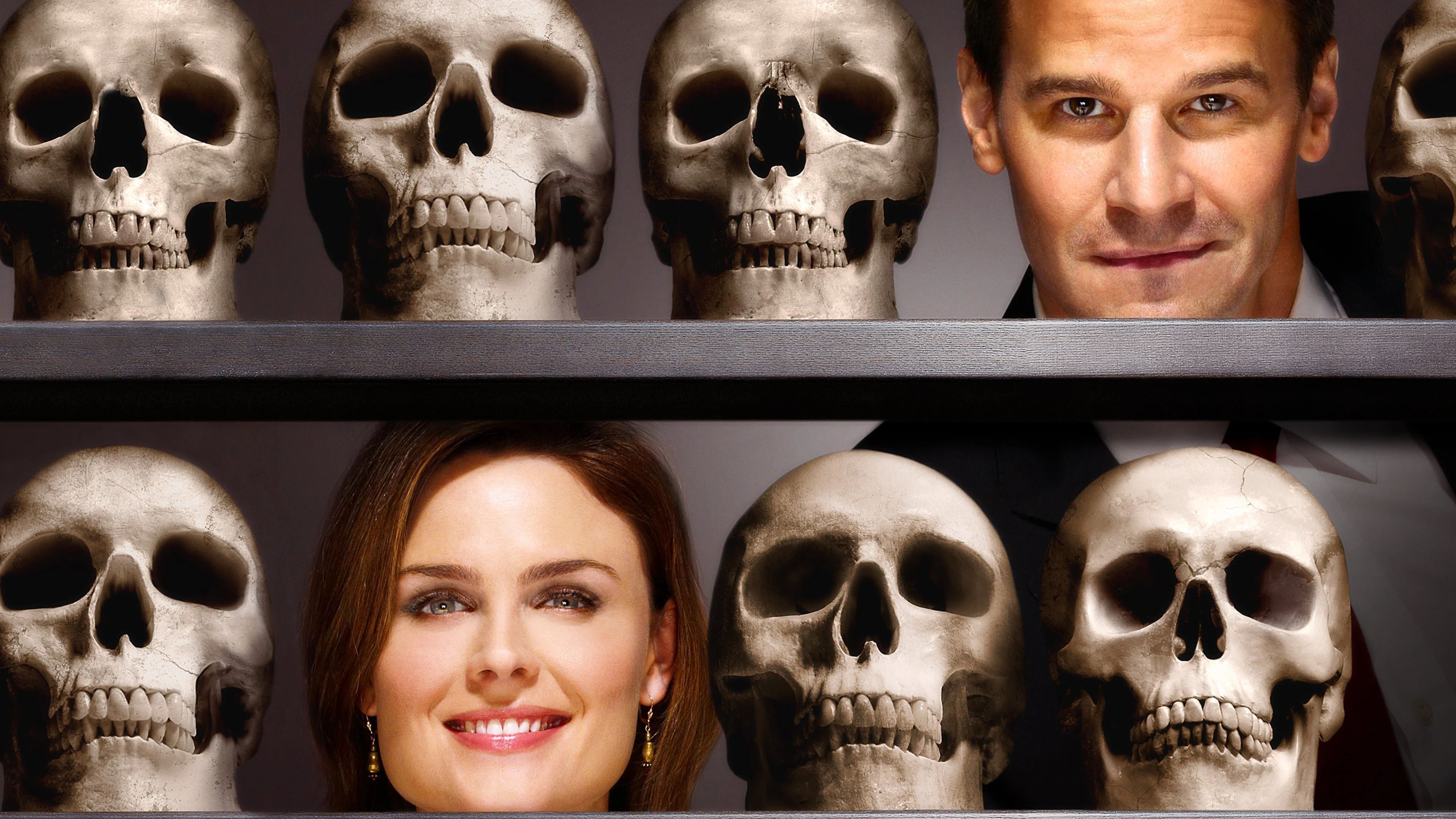 Hài Cốt ( Phần 12 ) - Bones (Season 12)