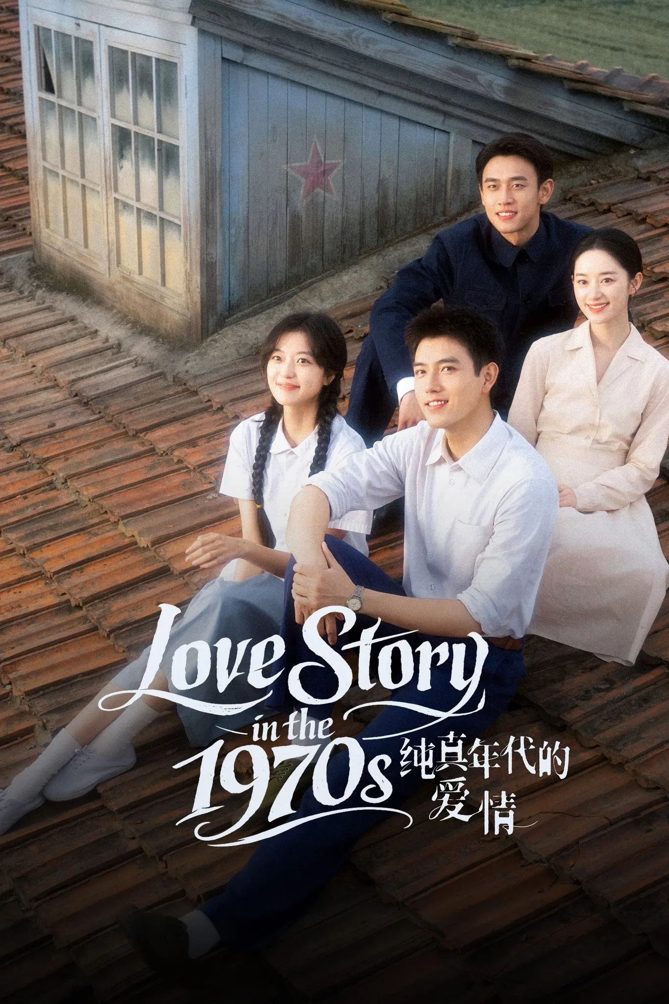Tình Yêu Của Kẻ Thực Dụng Love Story in the 1970s
