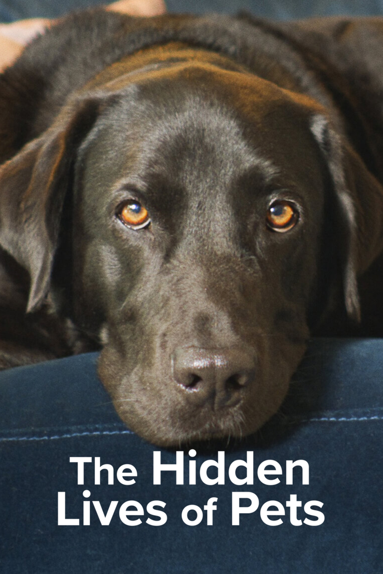 Cuộc Sống Bí Mật Của Thú Cưng The Hidden Lives Of Pets
