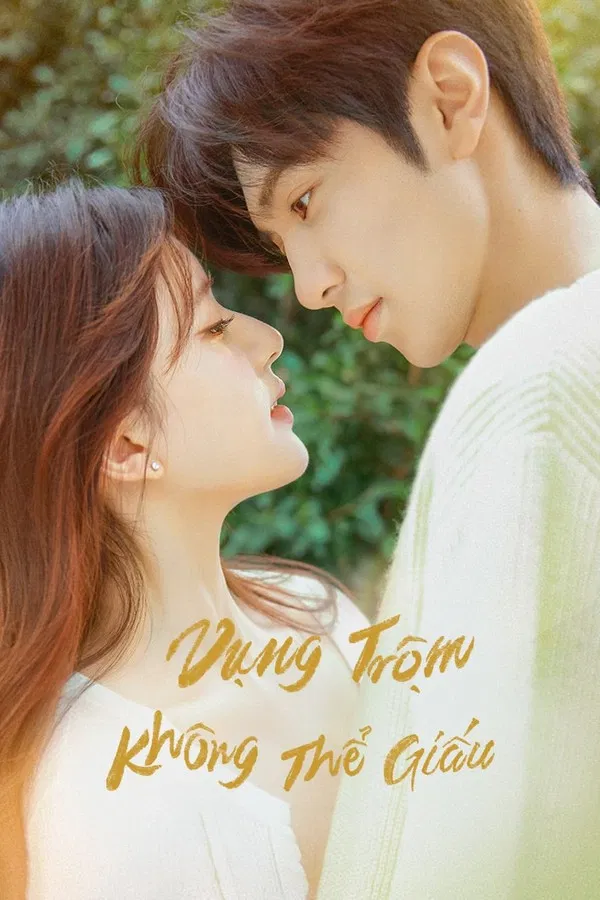 Vụng Trộm Không Thể Giấu Hidden Love