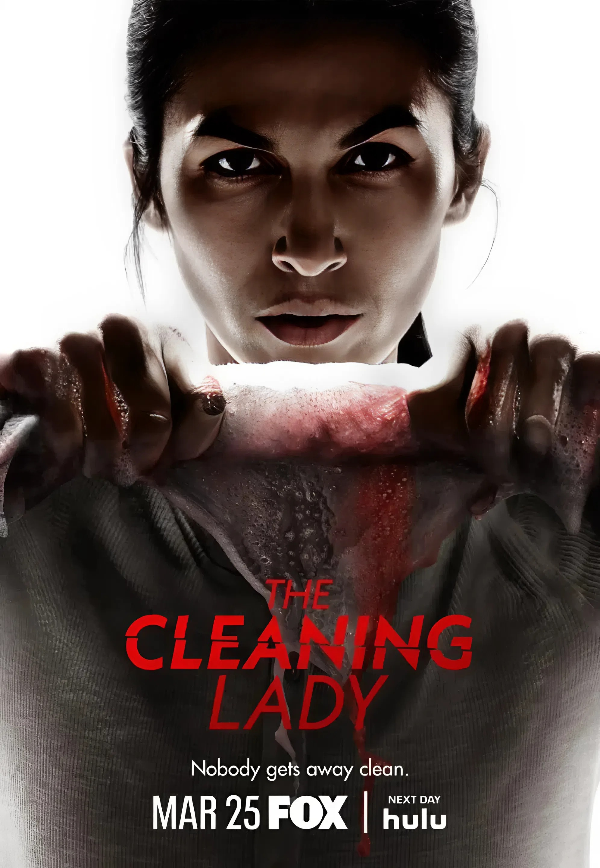 Người Hầu Phòng Bí Ẩn (Phần 4) The Cleaning Lady (Season 4)