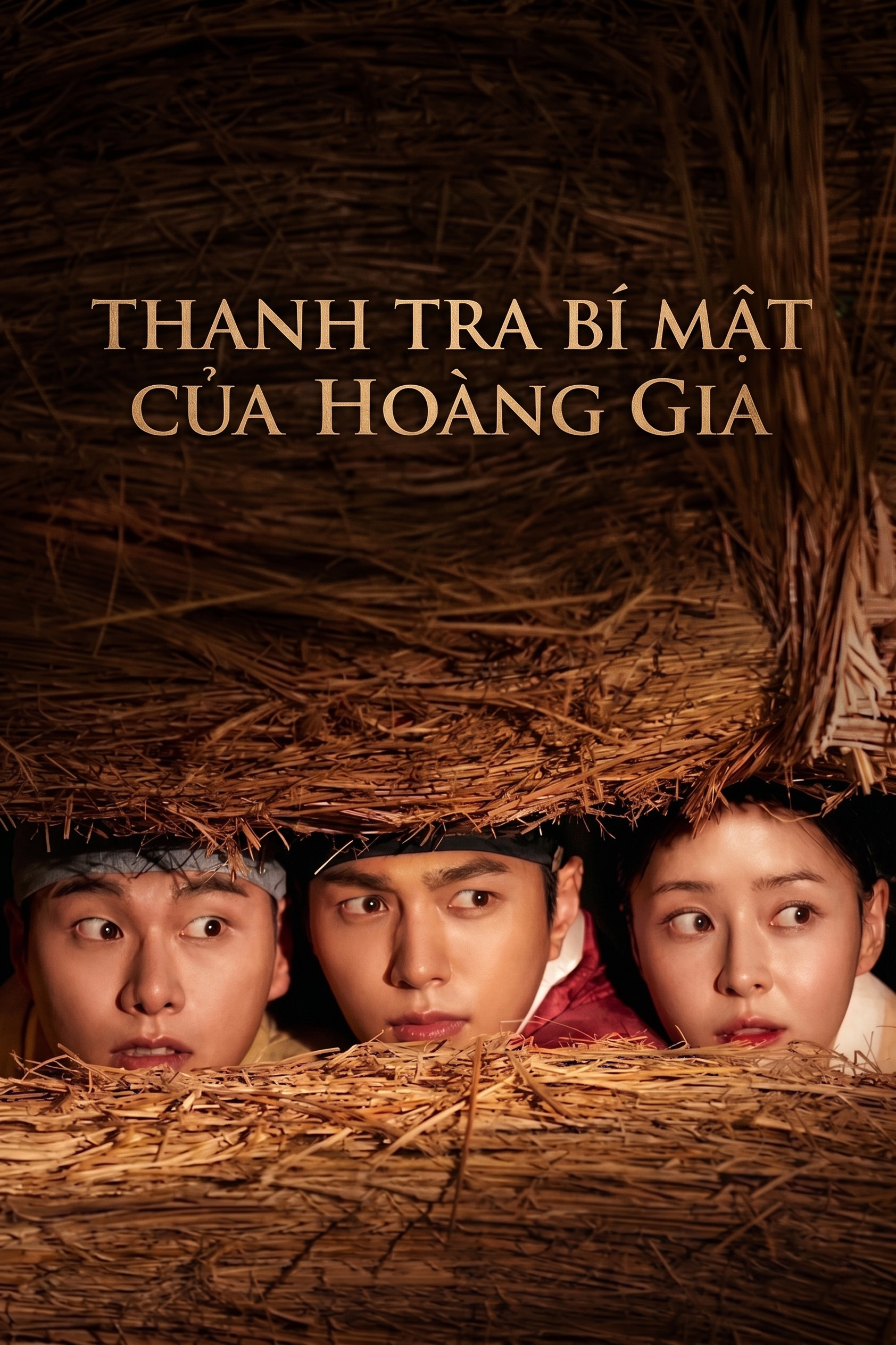 Thanh Tra Bí Mật Của Hoàng Gia Royal Secret Agent