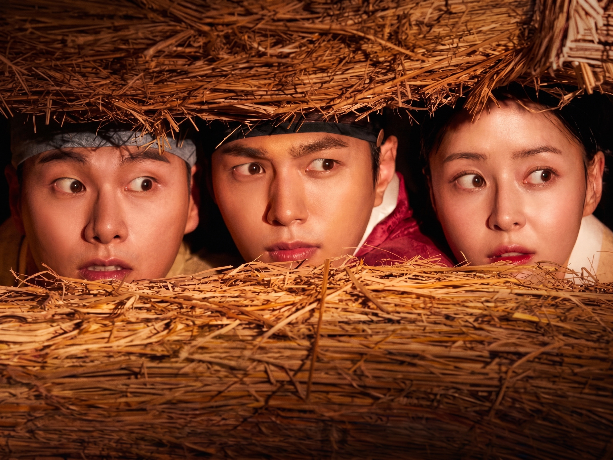 Thanh Tra Bí Mật Của Hoàng Gia - Royal Secret Agent
