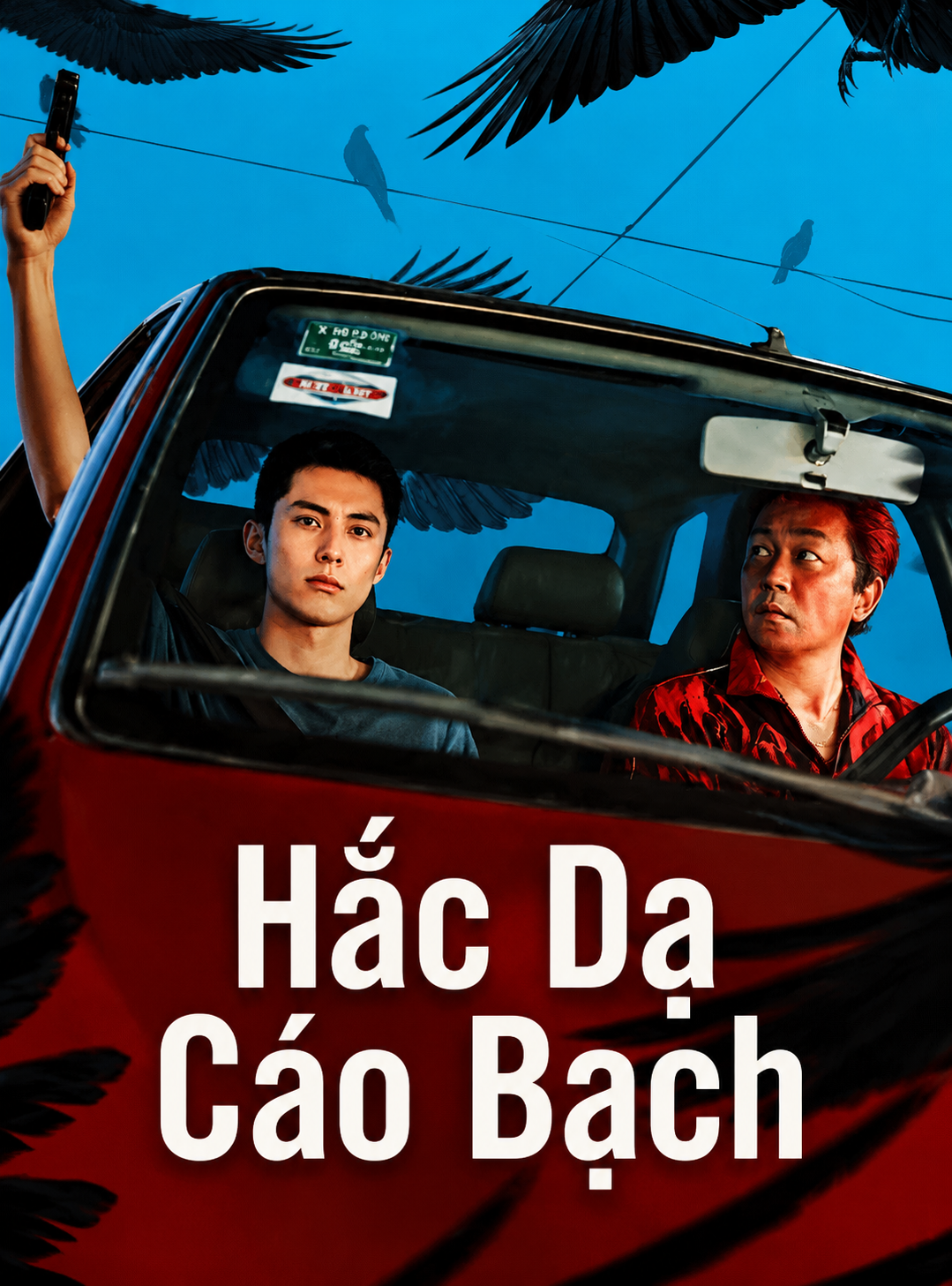 Hắc Dạ Cáo Bạch Light to the Night