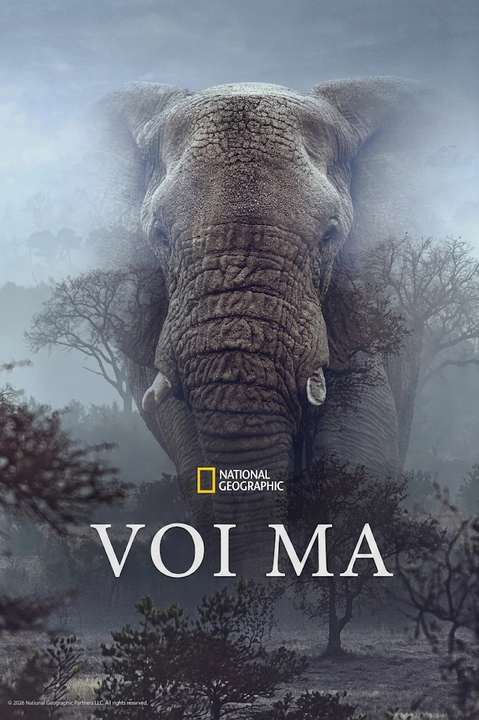 Voi Ma Ghost Elephants