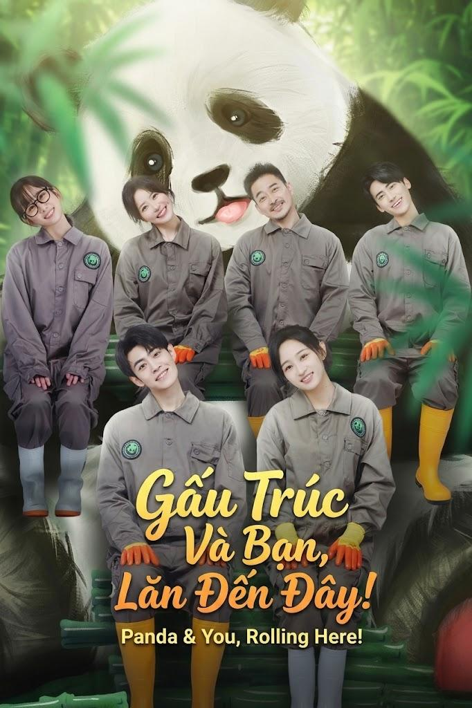 Gấu Trúc Và Bạn, Lăn Đến Đây!