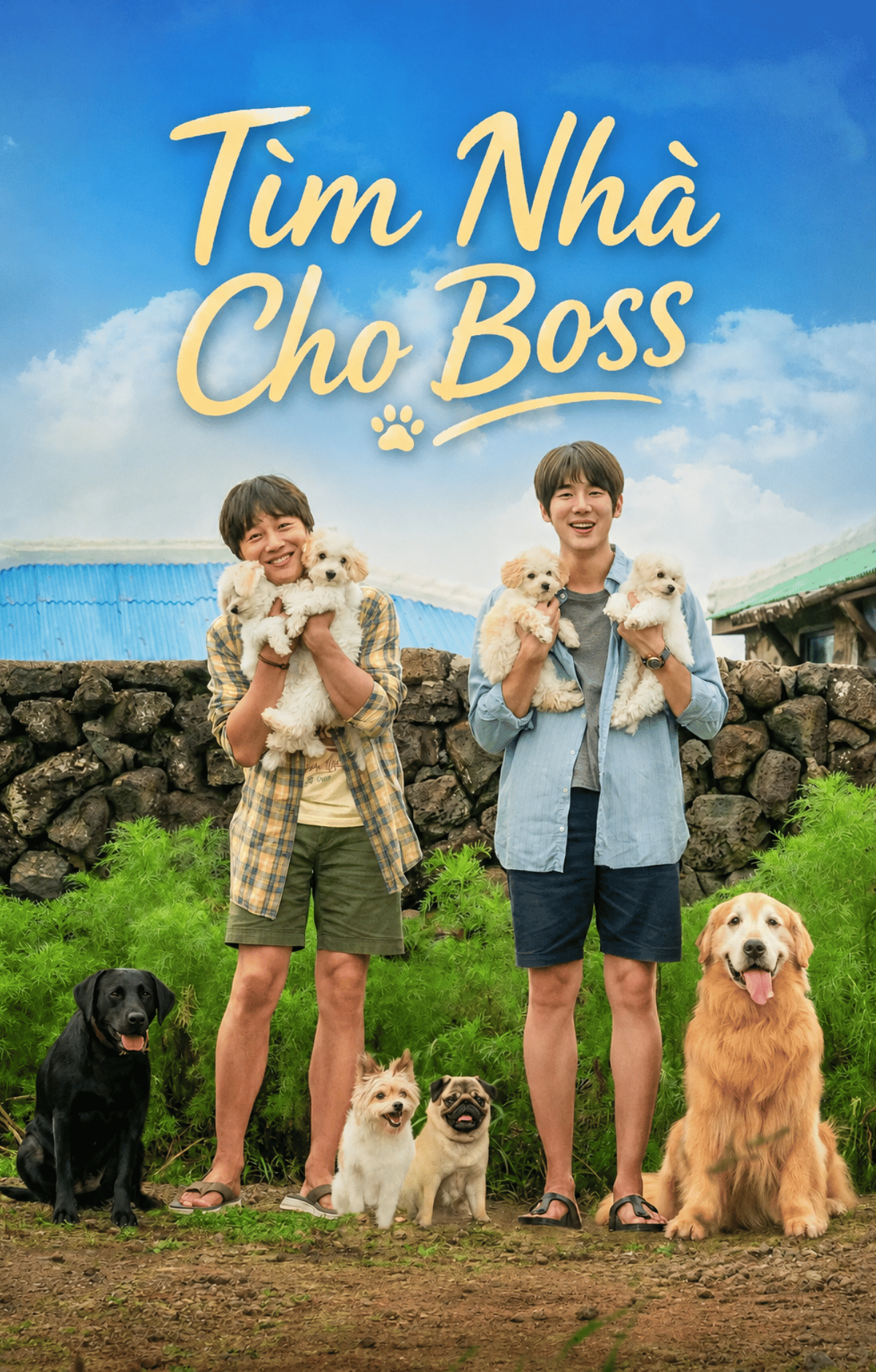 Tìm Nhà Cho Boss