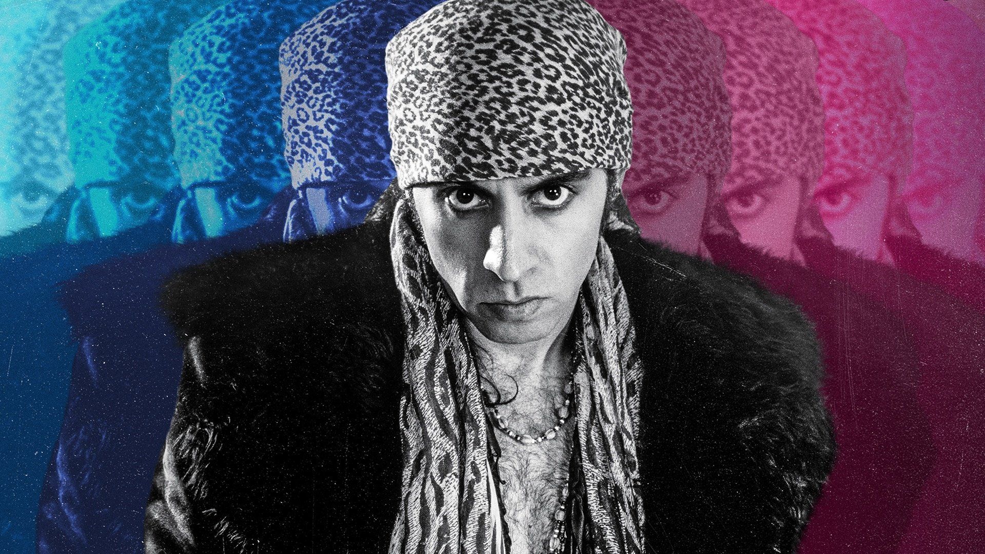 Stevie Van Zandt: Tín Đồ Nhạc Rock - Stevie Van Zandt: Disciple
