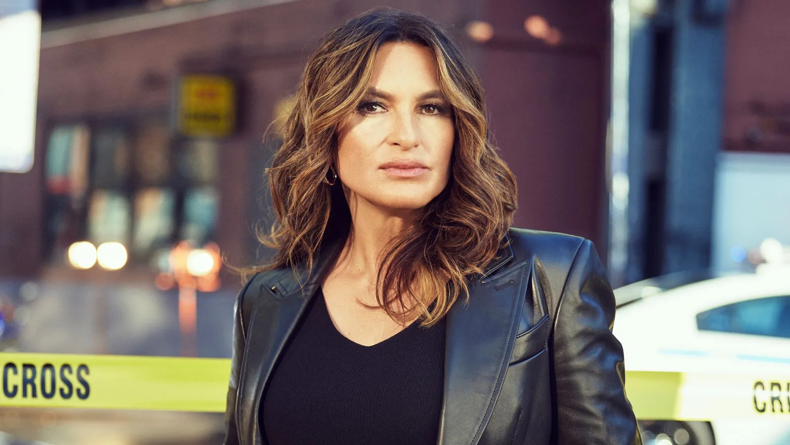 Luật Pháp Và Trật Tự: Nạn Nhân Đặc Biệt (Phần 13) - Law & Order: Special Victims Unit (Season 13)
