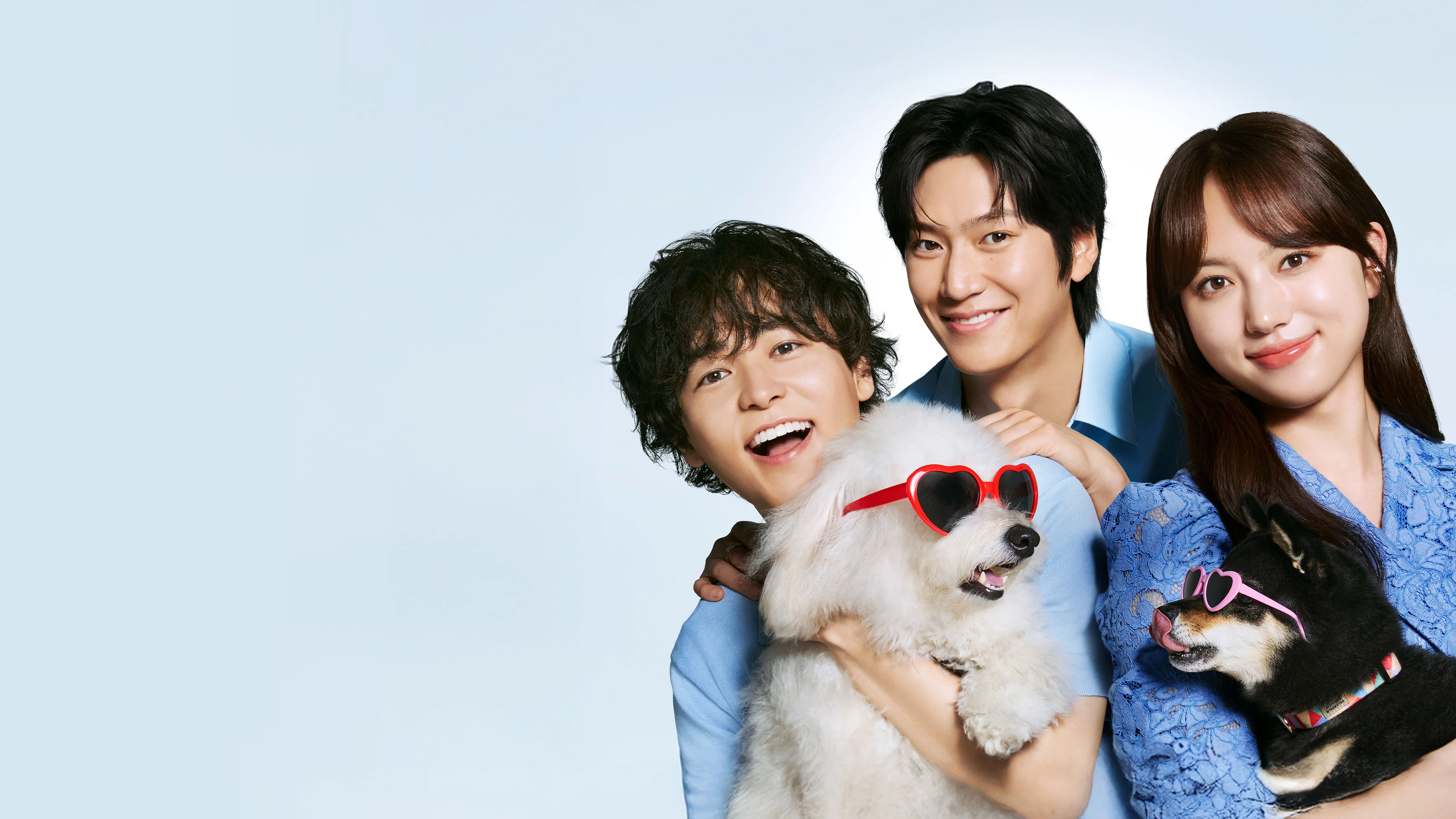 Tình Đầu Cún Cưng - Love Is For The Dogs
