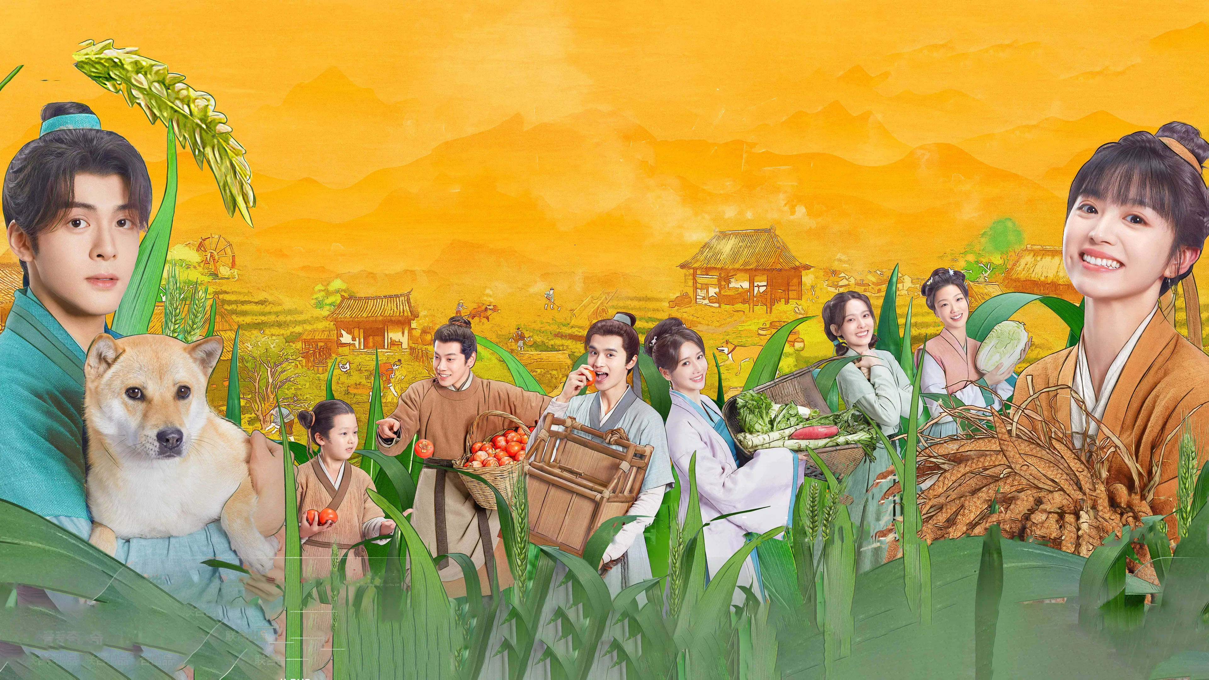 Điền Canh Kỷ - Romance On The Farm