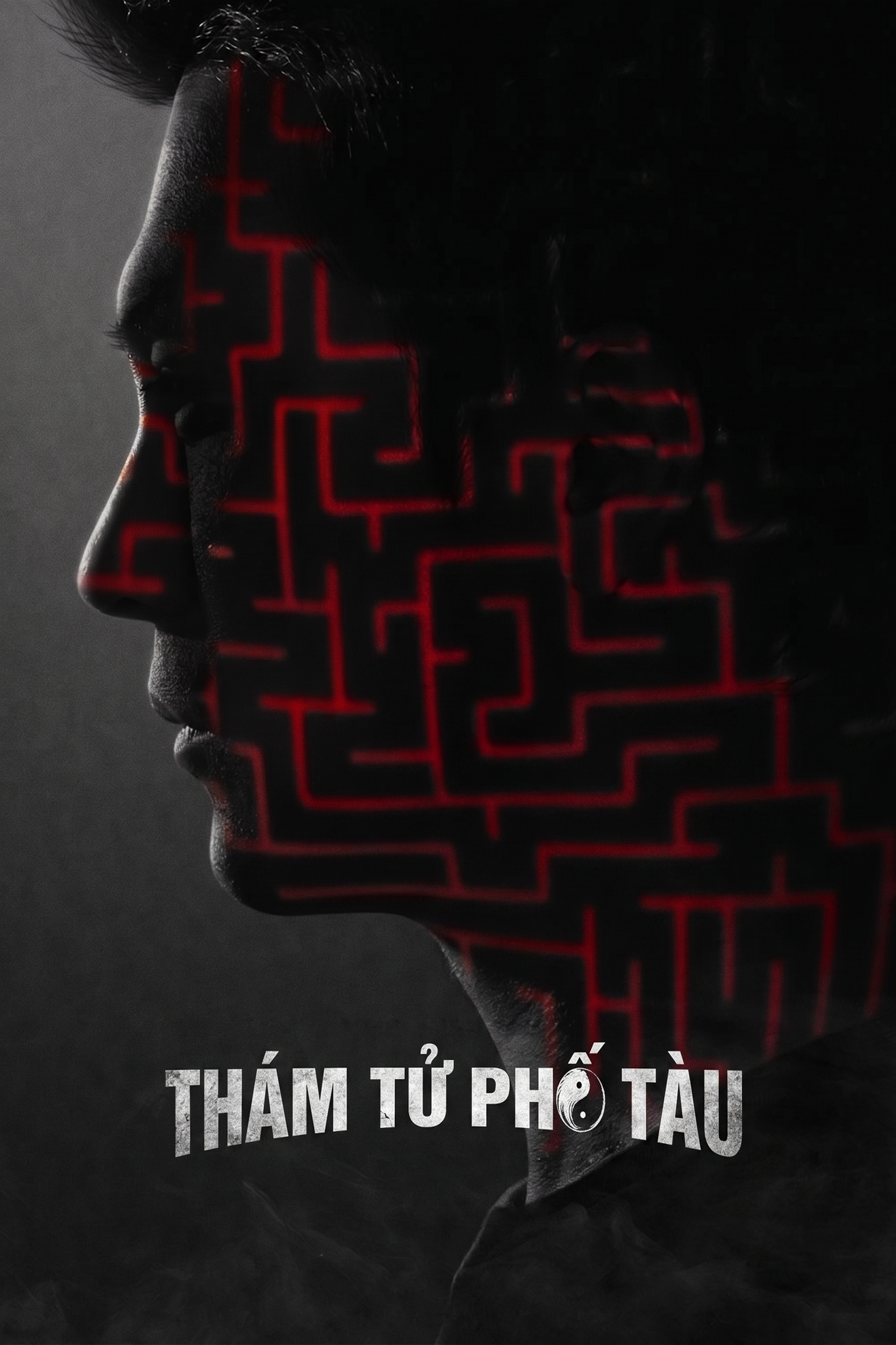 Thám Tử Phố Tàu 2