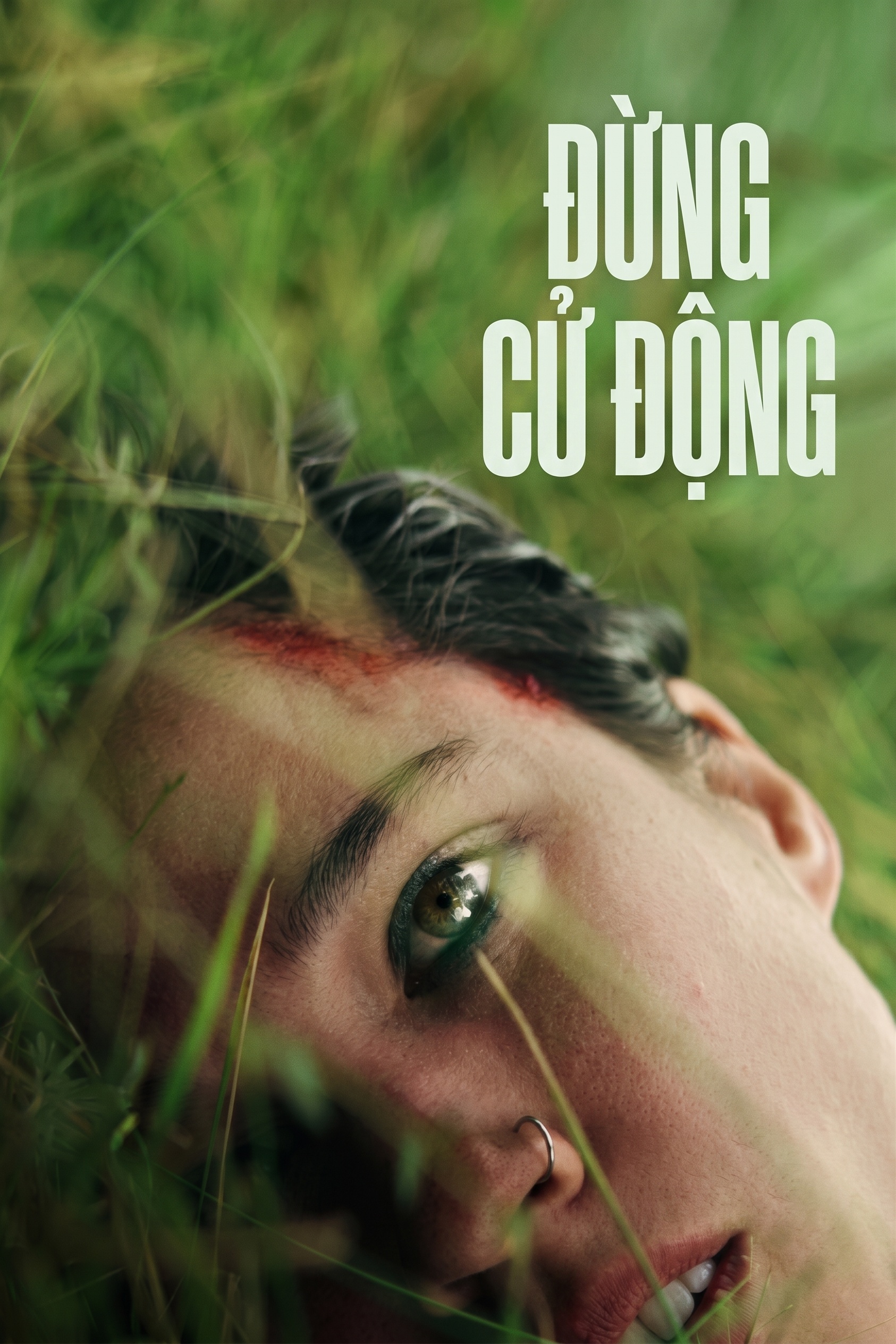 Đừng Cử Động
