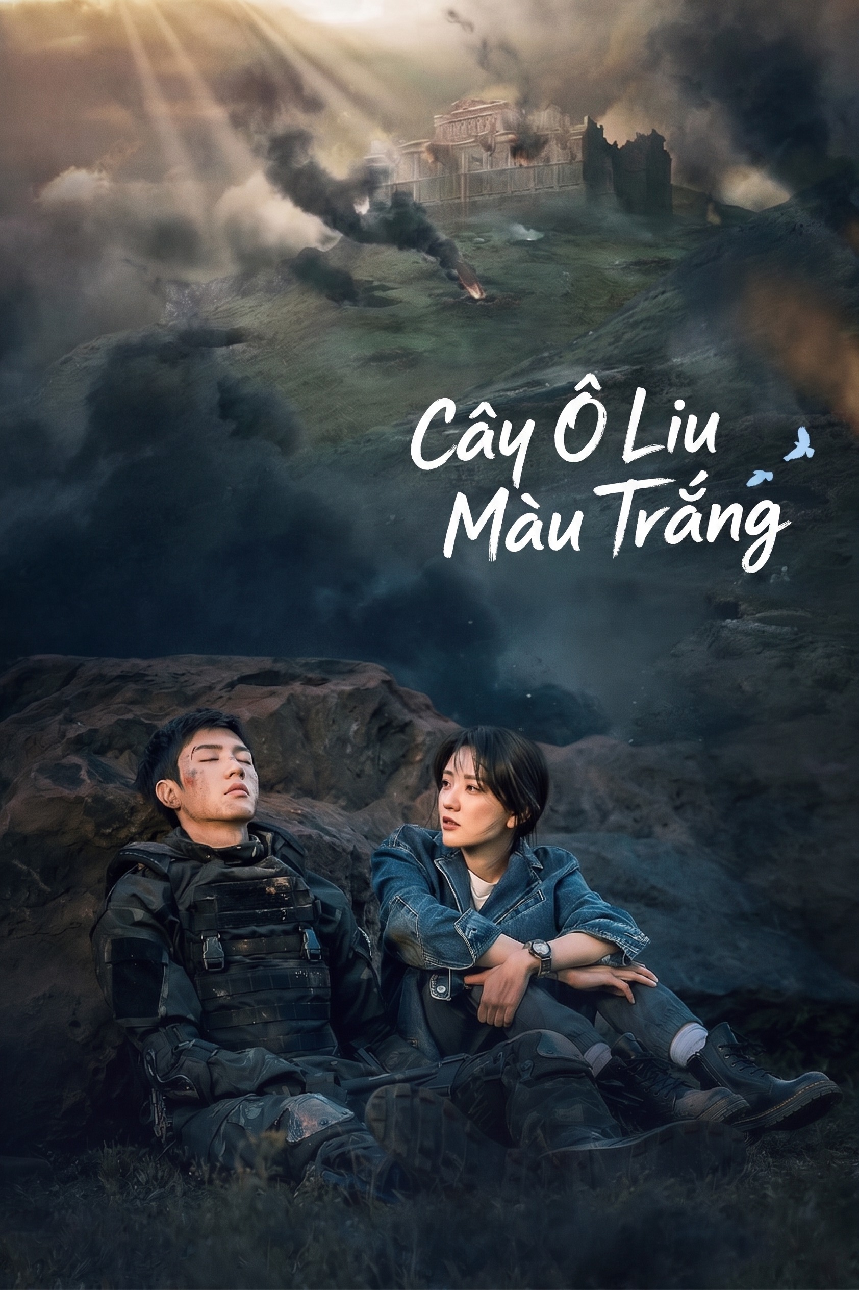 Cây Ô Liu Màu Trắng The White Olive Tree