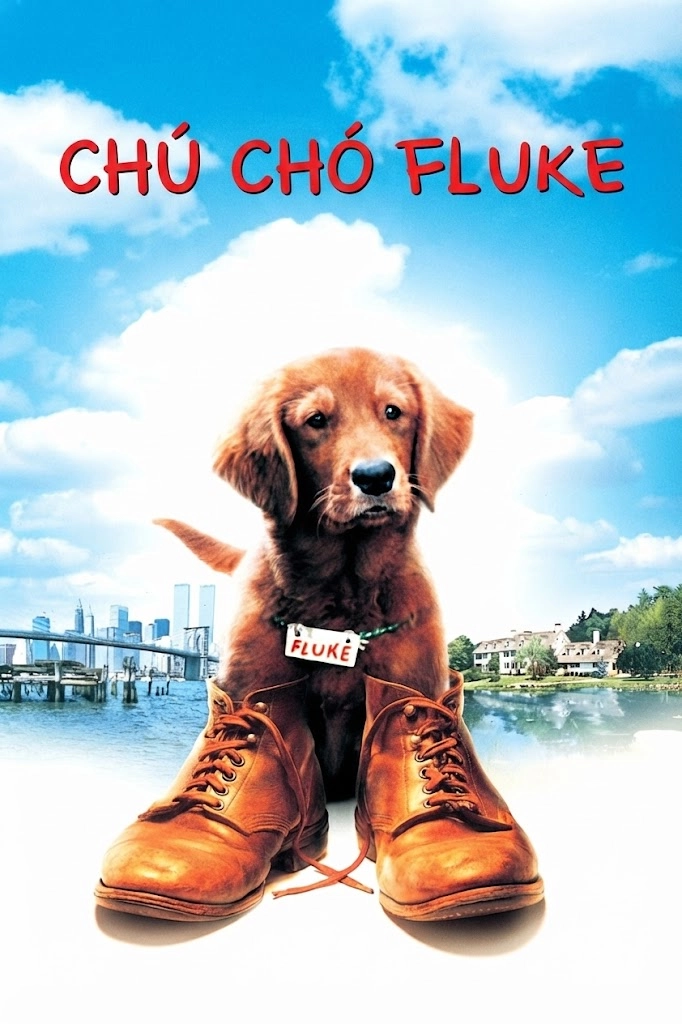 Chú Chó Fluke Fluke