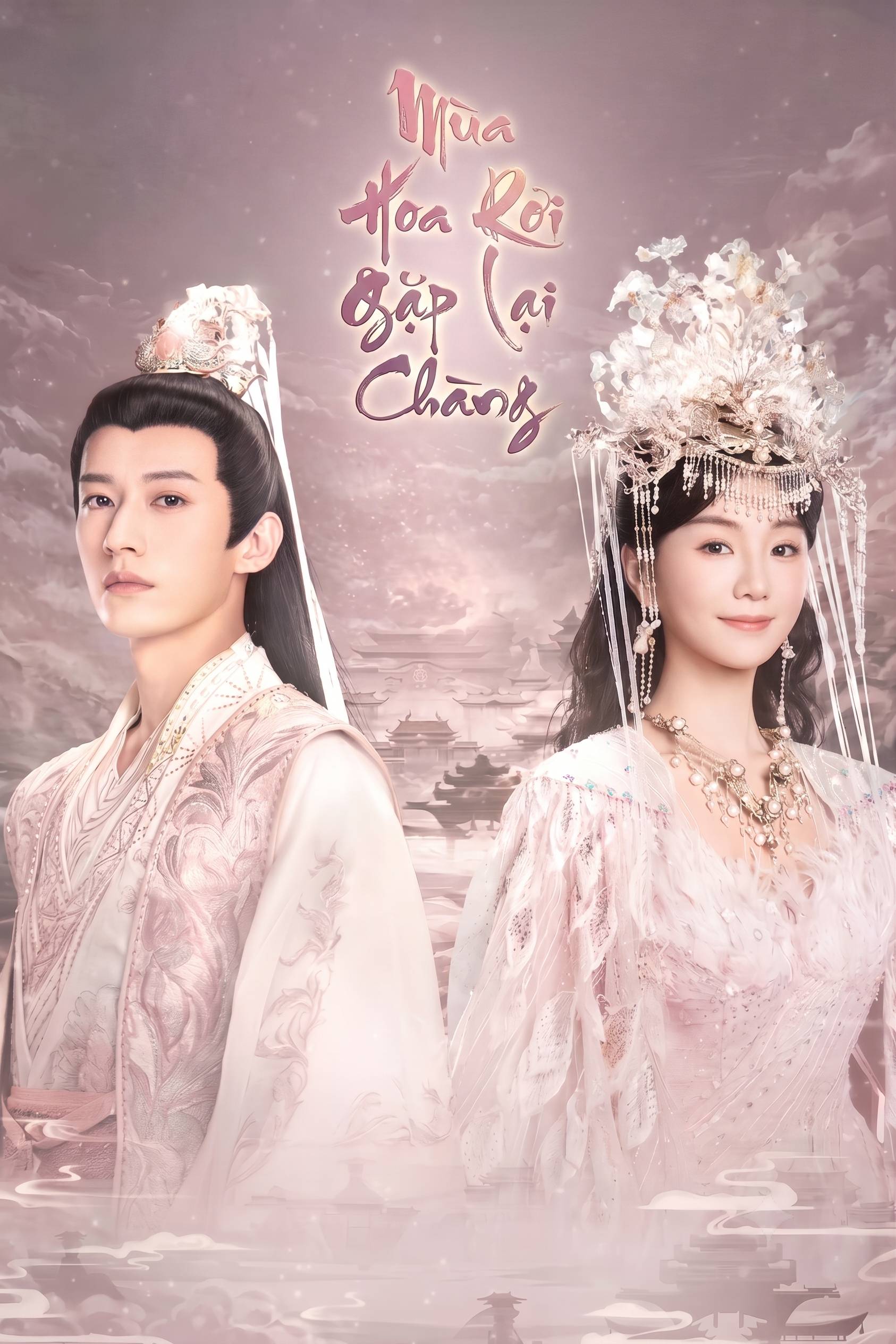 Mùa Hoa Rơi Gặp Lại Chàng