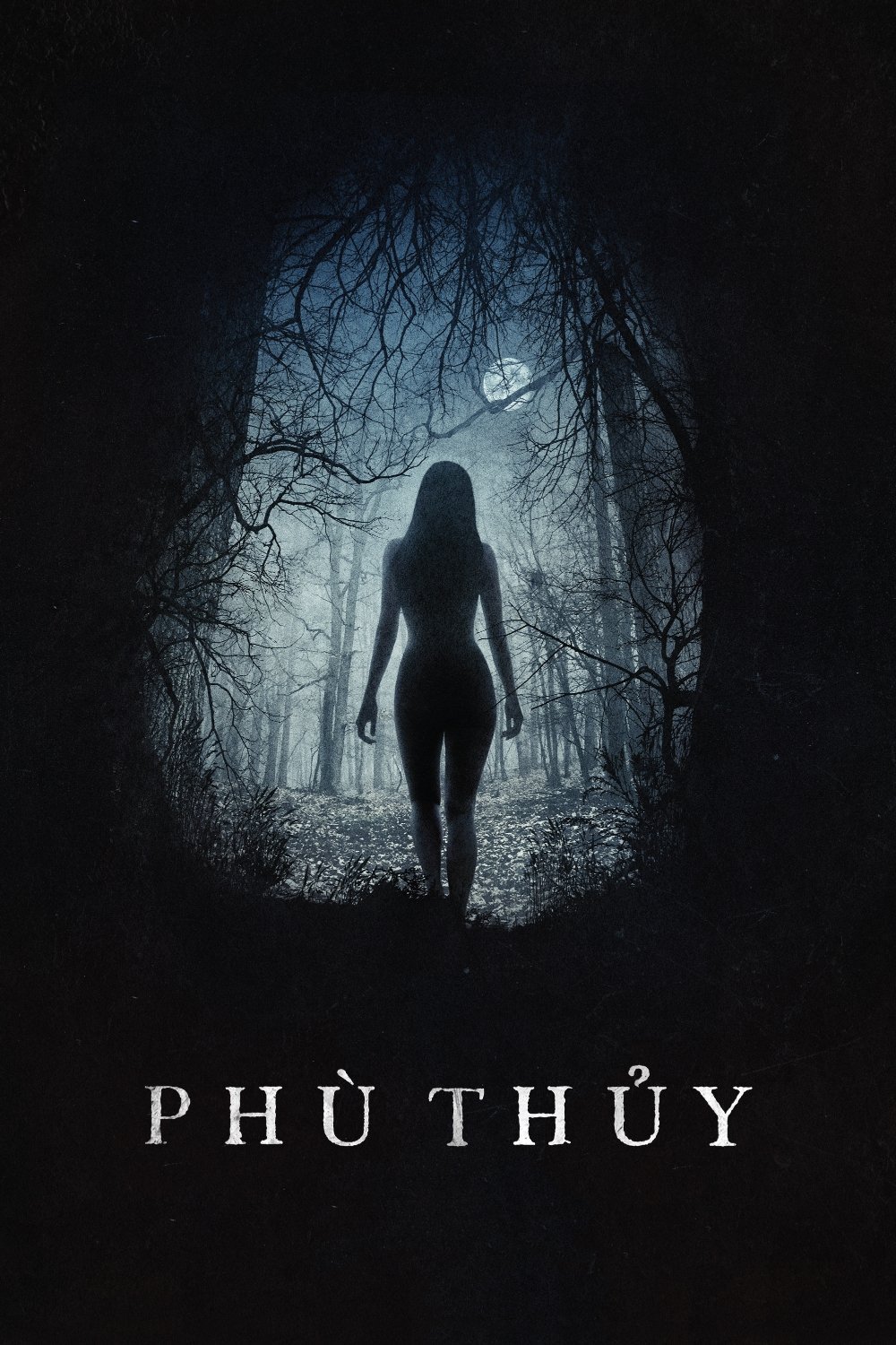 Phù Thủy (2015) The Witch (2015)