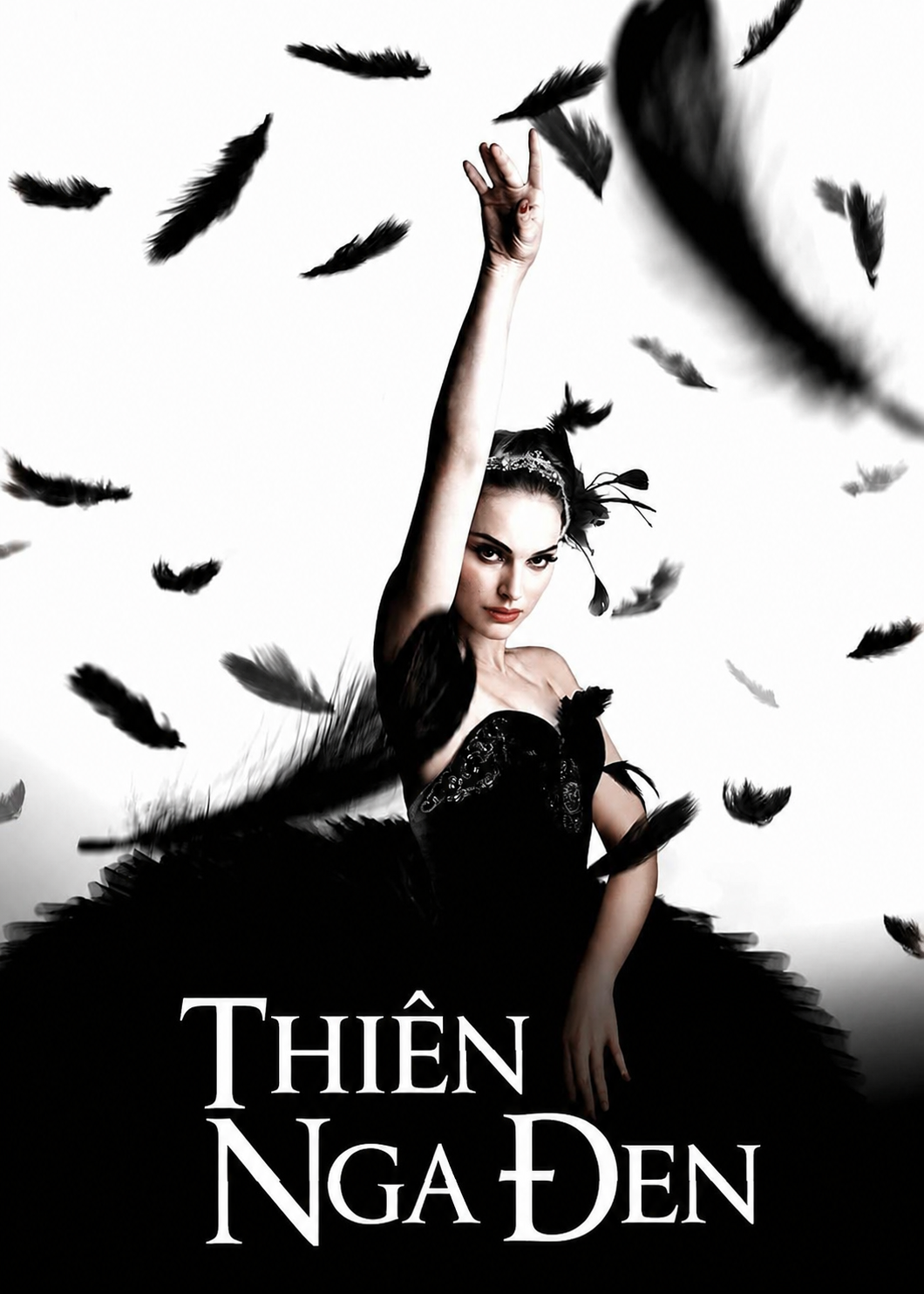 Thiên Nga Đen Black Swan
