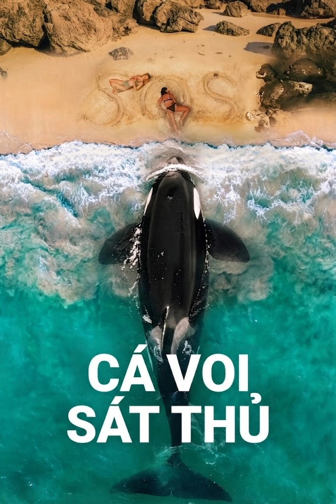 Cá Voi Sát Thủ