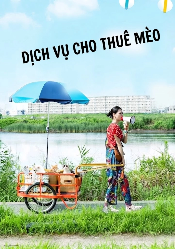 Dịch vụ cho thuê mèo Rent-a-Cat