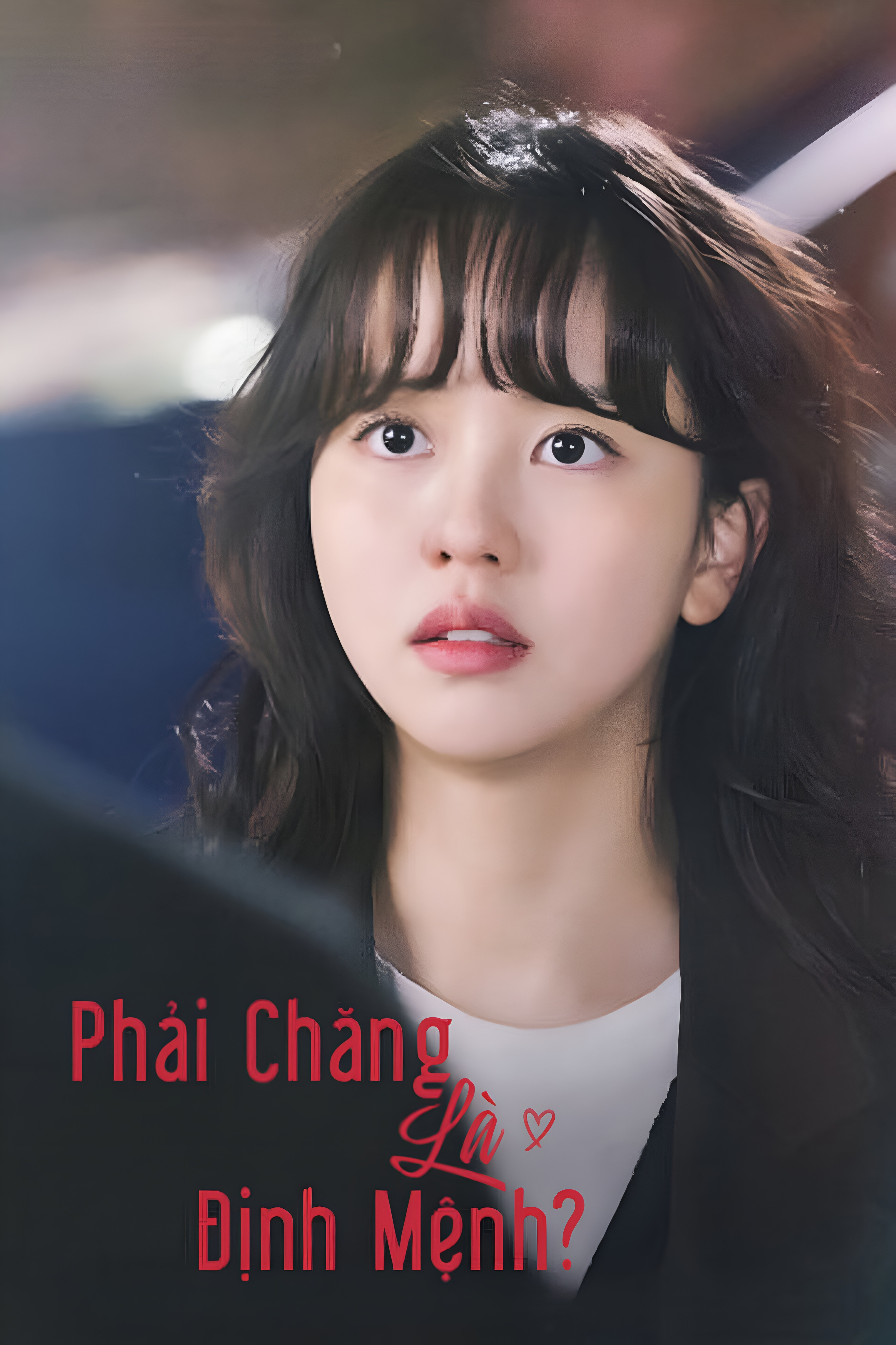 Phải Chăng Là Định Mệnh? Serendipity's Embrace