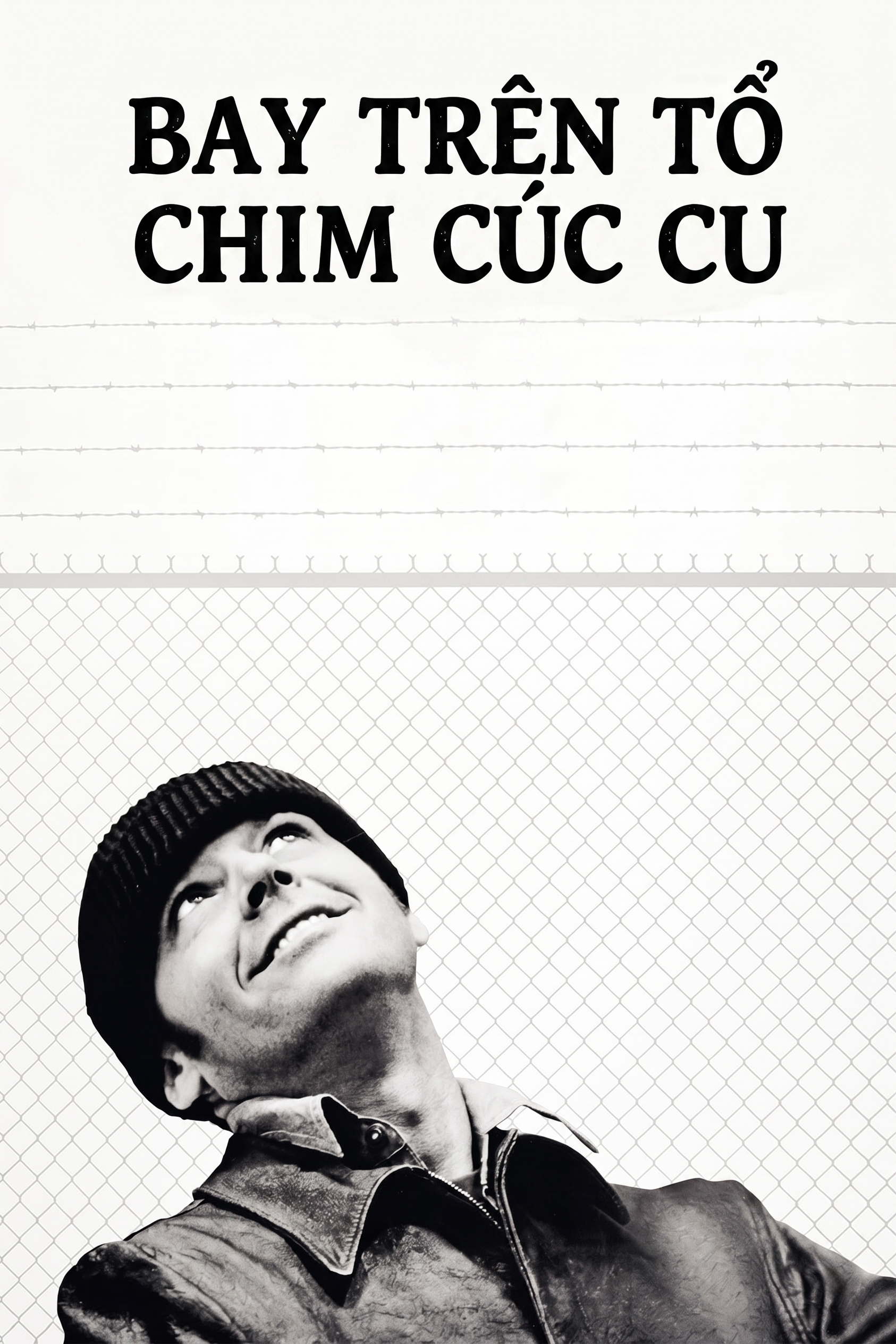 Bay Trên Tổ Chim Cúc Cu