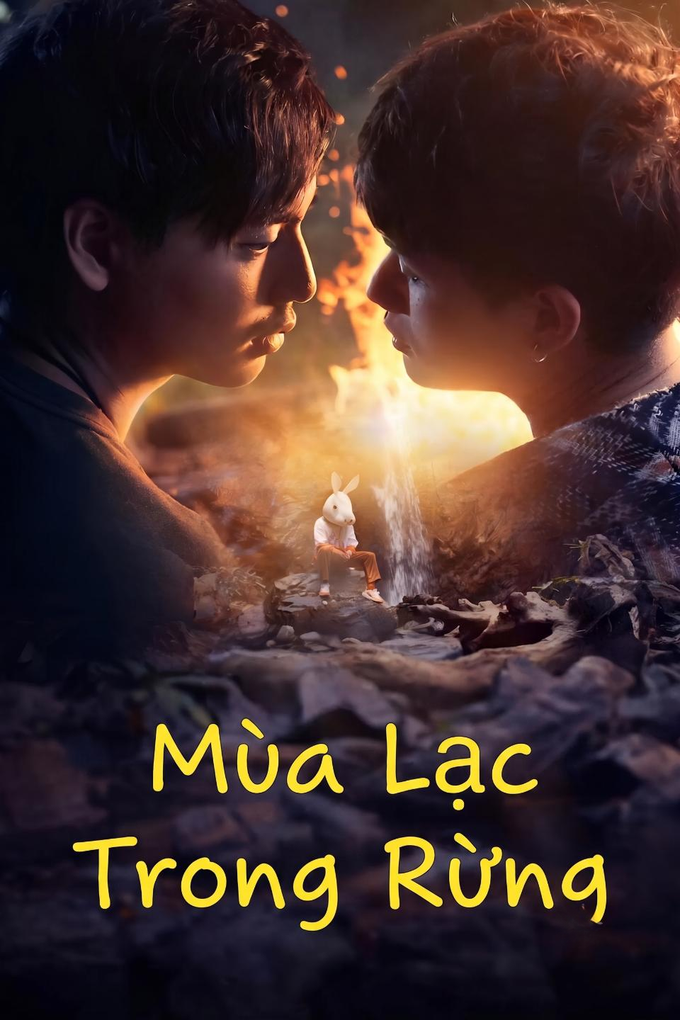 Mùa Lạc Trong Rừng