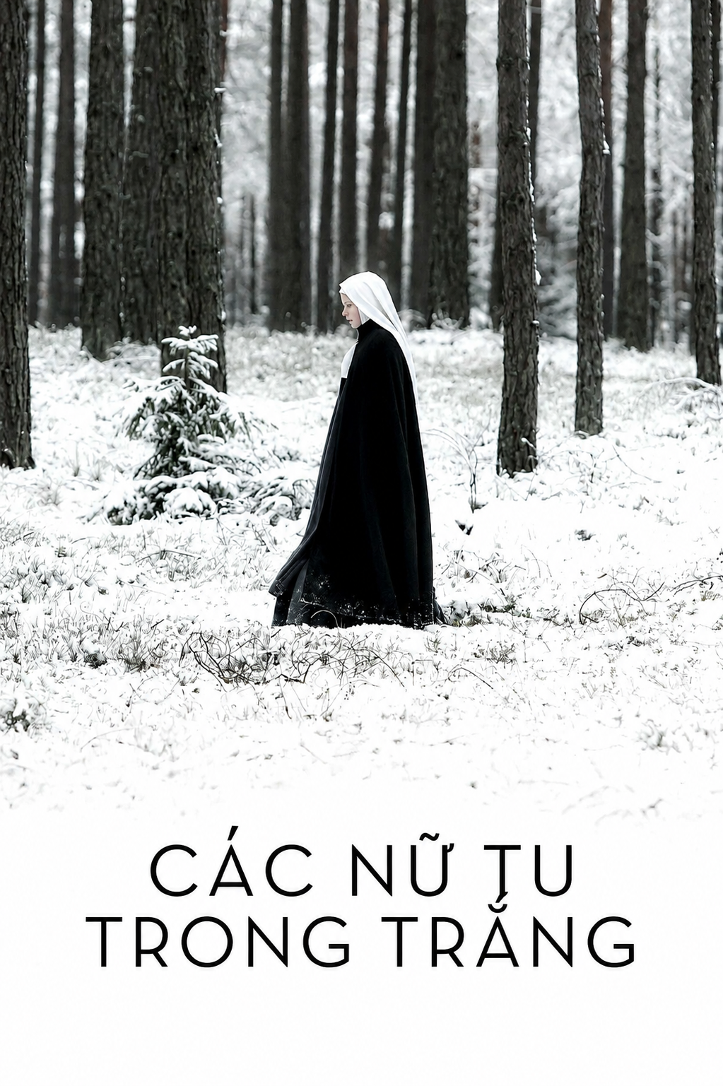 Poster Các Nữ Tu Trong Trắng