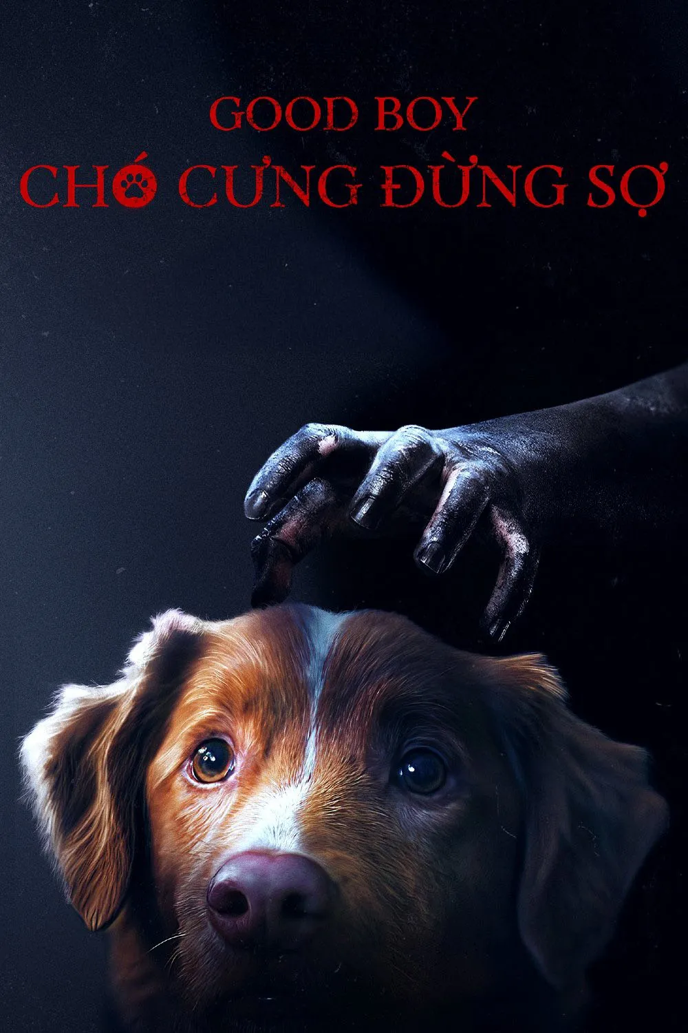Chó Cưng Đừng Sợ Good Boy
